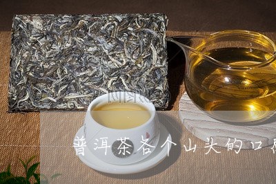 普洱茶各个山头的口感/2023100547270