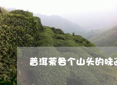 普洱茶各个山头的味道一样吗/2023110238381