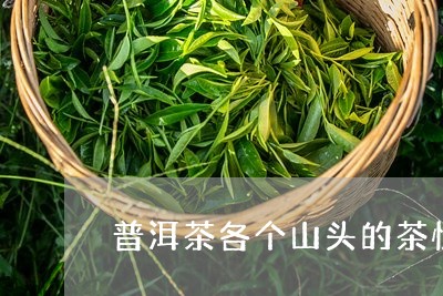 普洱茶各个山头的茶性/2023080325938