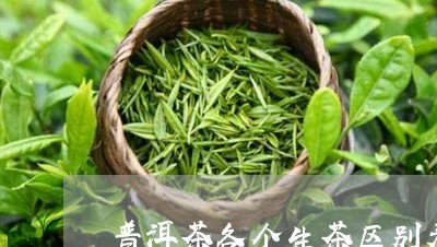 普洱茶各个生茶区别表图/2023083010403