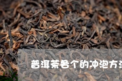 普洱茶各个的冲泡方法/2023080284939