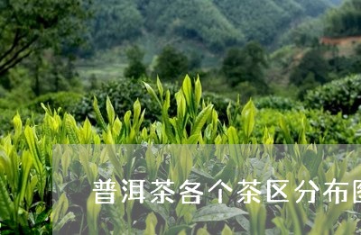 普洱茶各个茶区分布图/2023120637251