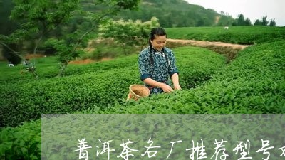 普洱茶各厂推荐型号对比/2023082756060