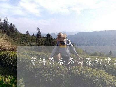 普洱茶各名山茶的特点/2023101700483