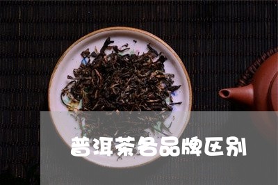 普洱茶各品牌区别/2023110950737