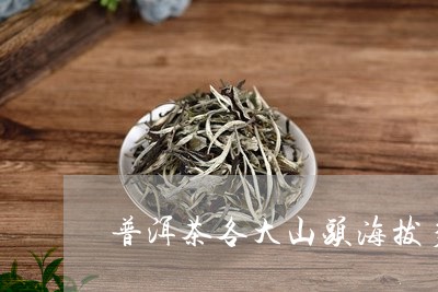 普洱茶各大山头海拔多少/2023050782705