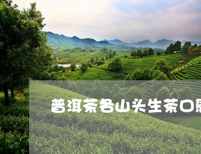 普洱茶各山头生茶口感特点/2023110216278