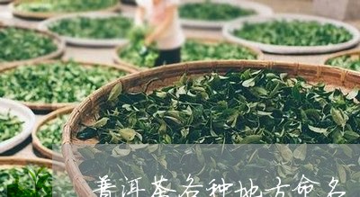 普洱茶各种地方命名/2023120514928