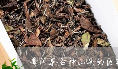 普洱茶各种山头的区别/2023100646461