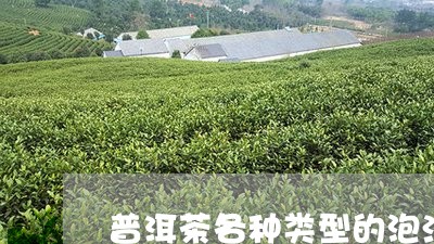 普洱茶各种类型的泡法/2023092690715