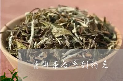 普洱茶各系列特差/2023112685736