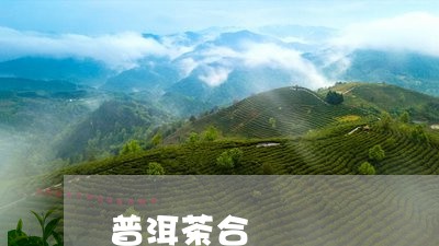 普洱茶合/2023110871826