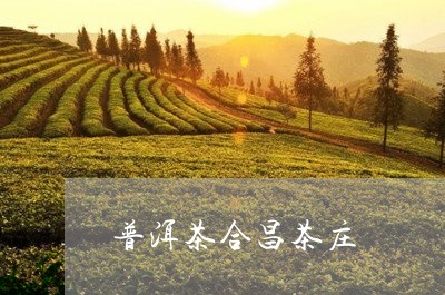 普洱茶合昌茶庄/2023112622703