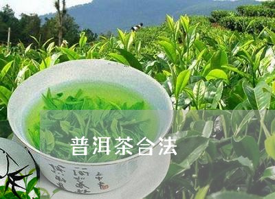 普洱茶合法/2023090524928