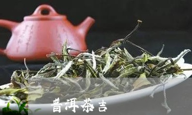 普洱茶吉/2023110862927