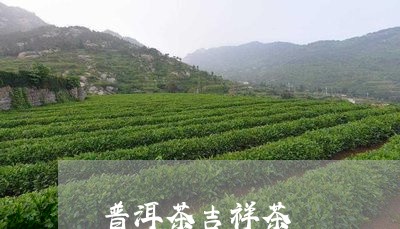 普洱茶吉祥茶/2023042866214