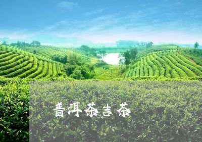 普洱茶吉茶/2023102522613