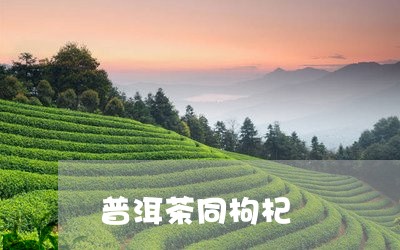 普洱茶同枸杞/2023042788034