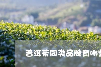 普洱茶同类品牌有哪些/2023120603726