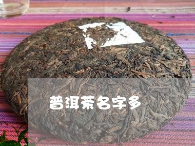 普洱茶名字多/2023042688016