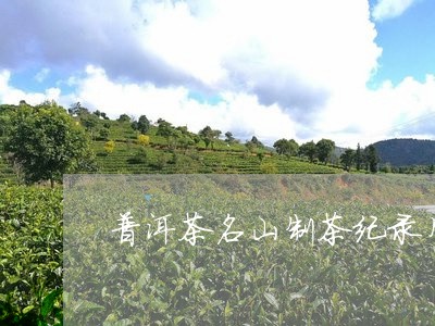 普洱茶名山制茶纪录片/2023062240836