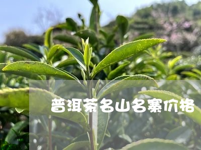 普洱茶名山名寨价格/2023083080603