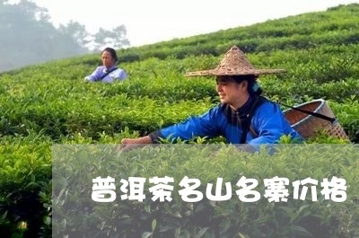 普洱茶名山名寨价格/2023121626137