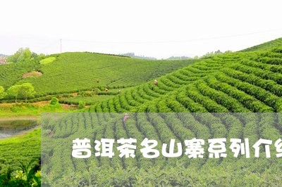 普洱茶名山寨系列介绍/2023062596259