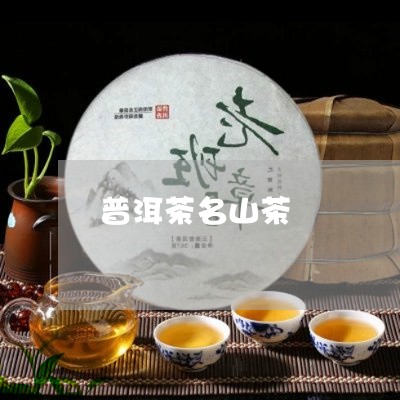 普洱茶名山茶/2023042970681