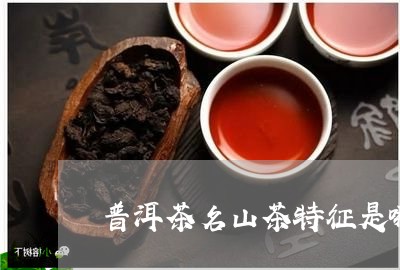 普洱茶名山茶特征是哪些/2023110697058