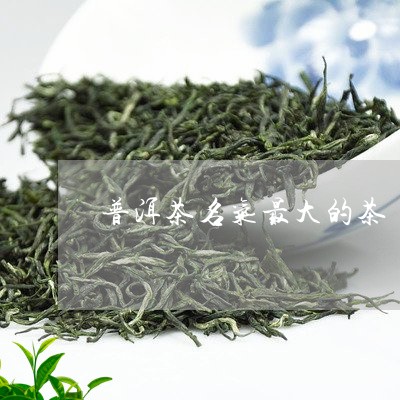 普洱茶名气最大的茶/2023091433140