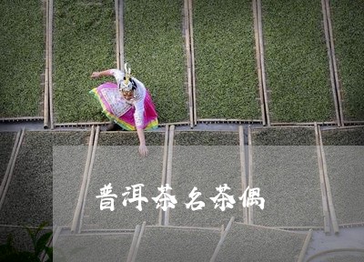 普洱茶名茶偶/2023042720416