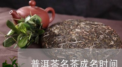 普洱茶名茶成名时间/2023110972603