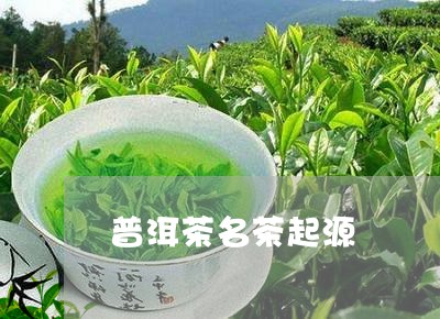 普洱茶名茶起源/2023091477938