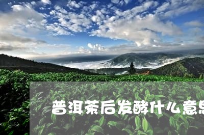 普洱茶后发酵什么意思/2023062362804