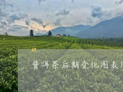 普洱茶后期变化图表图片/2023083042027