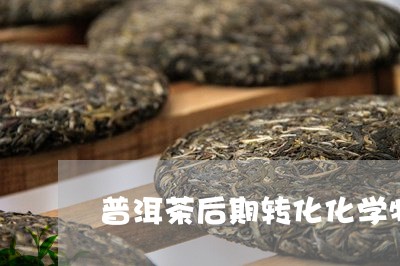 普洱茶后期转化化学物质/2023122082805