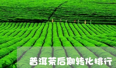 普洱茶后期转化排行/2023120593725