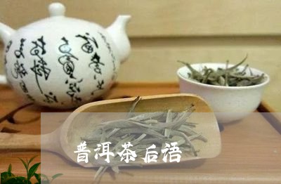 普洱茶后语/2023090554947