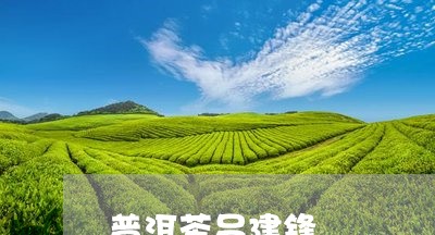 普洱茶吕建锋/2023042810499