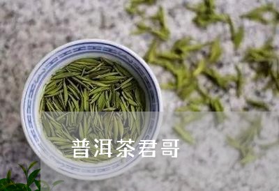 普洱茶君哥/2023102573704