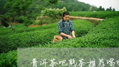 普洱茶吧熟茶推荐喝吗女生/2023082729391