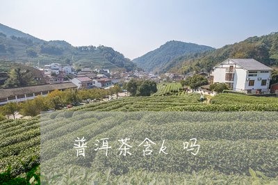 普洱茶含k吗/2023042535219