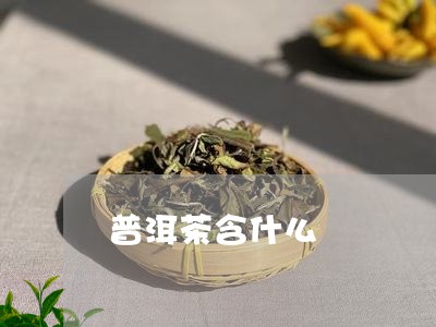 普洱茶含什么/2023042989840