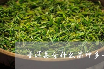 普洱茶含什么菌种多一点/2023120707481