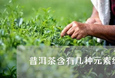 普洱茶含有几种元素组成/2023103104935