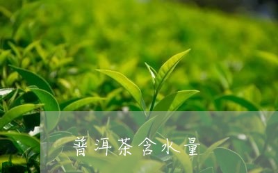 普洱茶含水量/2023042988431