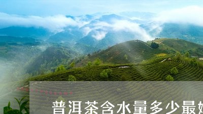 普洱茶含水量多少最好喝/2023112859803