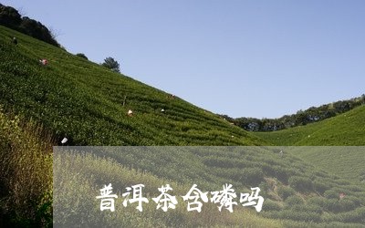 普洱茶含磷吗/2023042957441