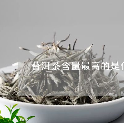 普洱茶含量最高的是什么/2023120794382